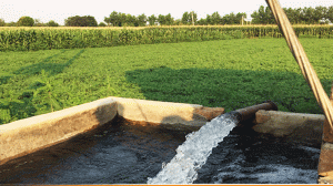 सुनकोशीको पानी पाँचखालमा, माघ मसान्तभित्र ६ हजार परिवार लाभान्वित हुने