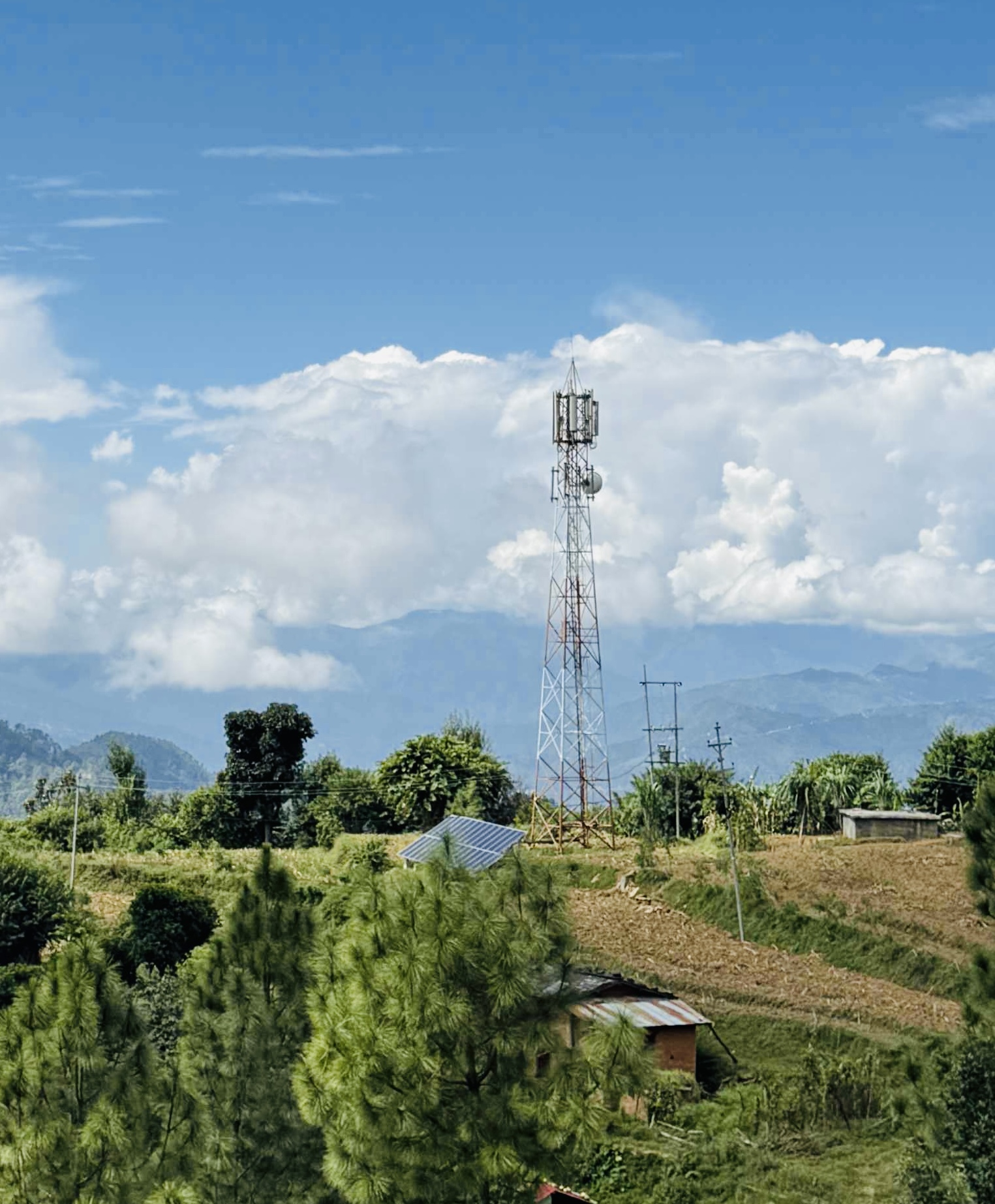 सरकारी लगानीमै सुस्ताइ NTC, टावर बने पनि नेटवर्क आएन